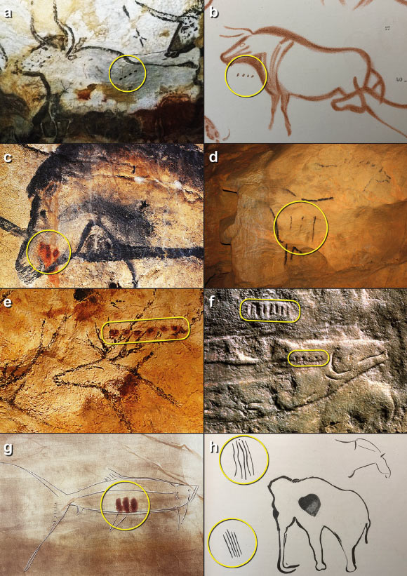 थोप्ला/रेखाहरूको अनुक्रमसँग सम्बन्धित जनावरहरूको चित्रणका उदाहरणहरू। छवि क्रेडिट: बेकन एट अल।, doi: 10.1017/S0959774322000415।