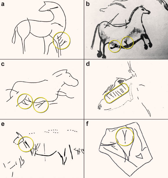 "Y" ნიშნის მაგალითები თანმიმდევრობით, რომლებიც დაკავშირებულია ცხოველების გამოსახულებებთან. გამოსახულების კრედიტი: ბეკონი და სხვ., დოკუმენტი: 10.1017/S0959774322000415.
