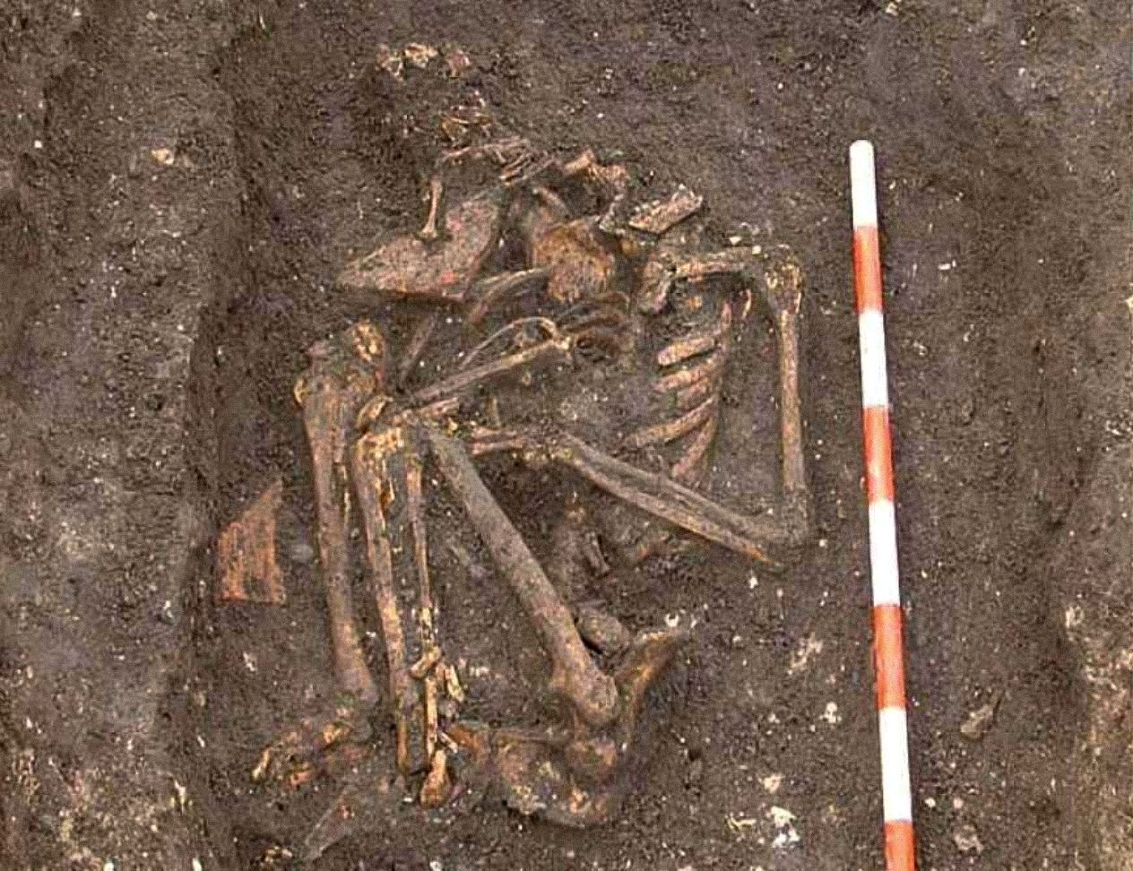約克巴比肯 (York Ba​​rbican) 發掘現場的 SK3870 骨架照片。 ©現場考古