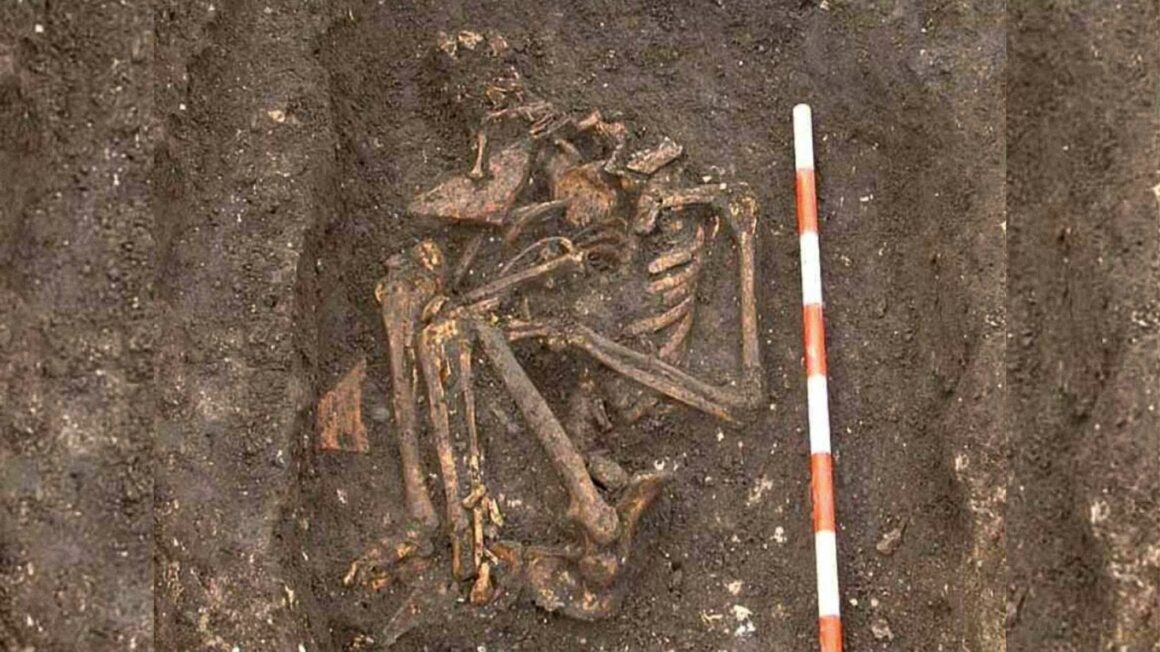 Фотография скелета SK3870 на месте раскопок в Йоркском Барбакане. Кредит: Археология на месте