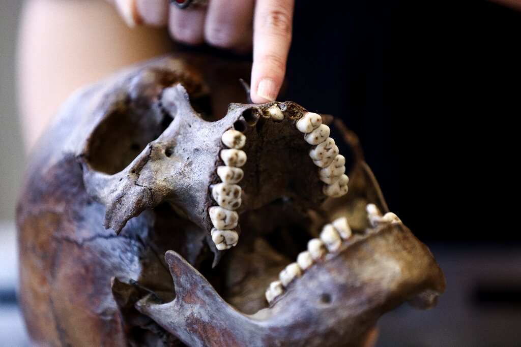 По-специално зъбите, със следи от стронций, естествено срещащ се химичен елемент, който се натрупва в човешките кости, могат да сочат към определени региони чрез своята геология.