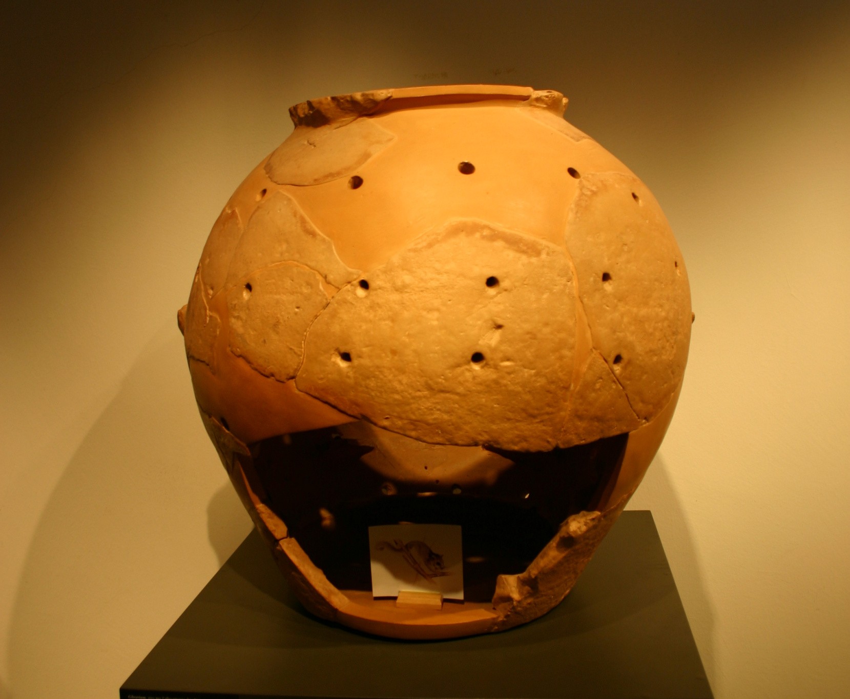A glirarium is a terracotta container used for keeping edible dormice. These animals were considered a delicacy in the Etruscan period and later in the Roman Empire.
