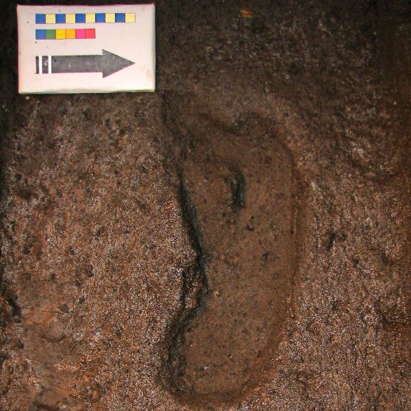 This footprint is about 15,600 years old.