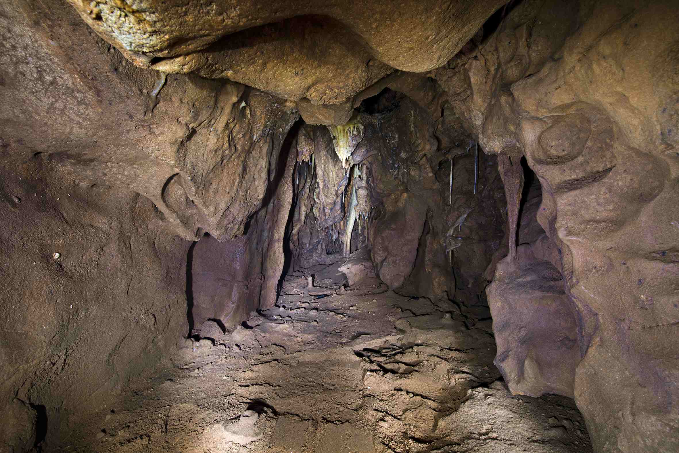 Vanguard Cave, en del av Gorham's Cave Complex.