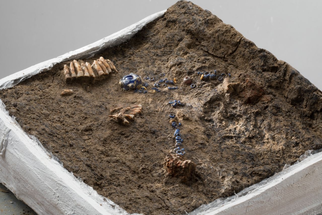 Kelt kadın 2,200 yıl sonra 'süslü giysiler ve mücevherlerle' bir ağacın içine gömülmüş halde bulundu 2