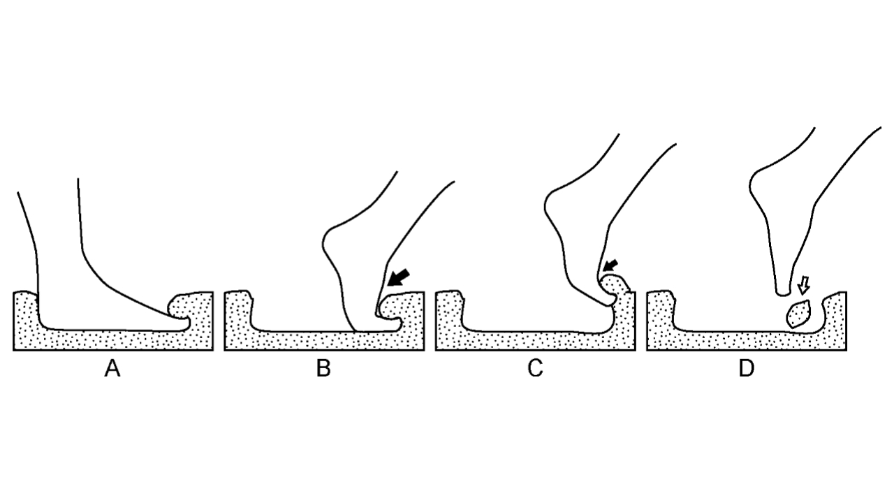 This sequence shows how the footprint may have been made.