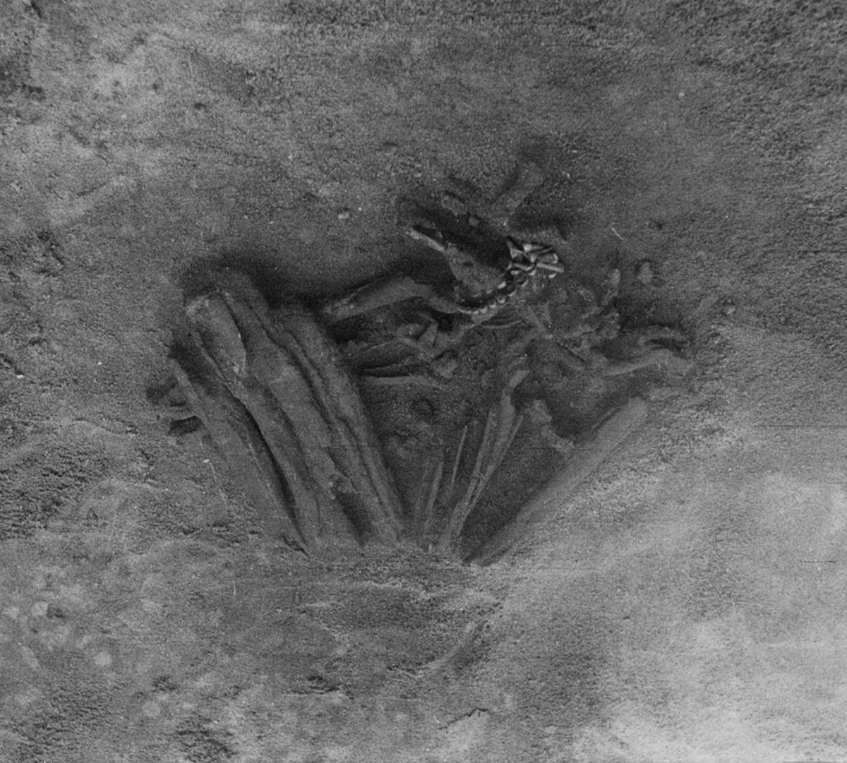 Arkeologer tror nu att 8,000 2 år gamla mänskliga skelett från Portugal är världens äldsta mumier 