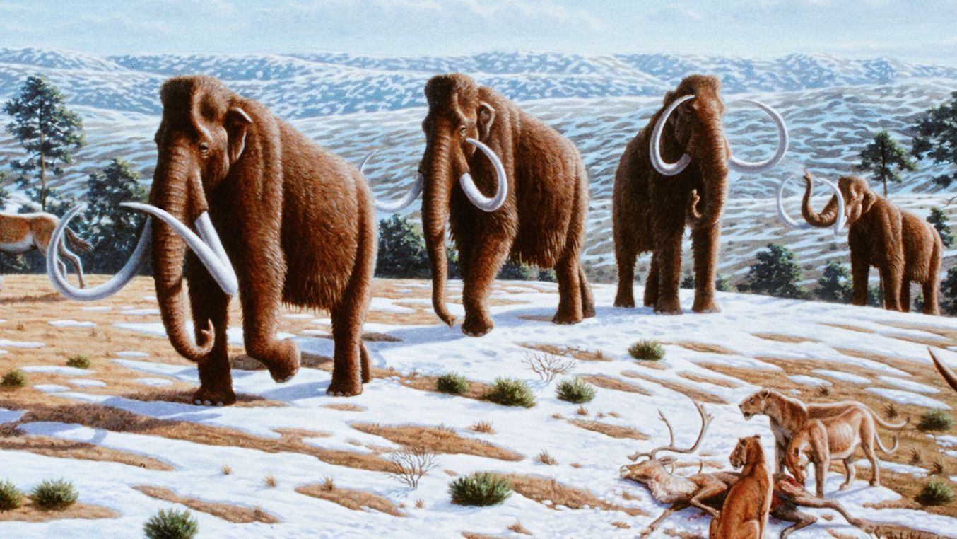 Scientists solve long-standing mystery of what may have triggered ice age 1
