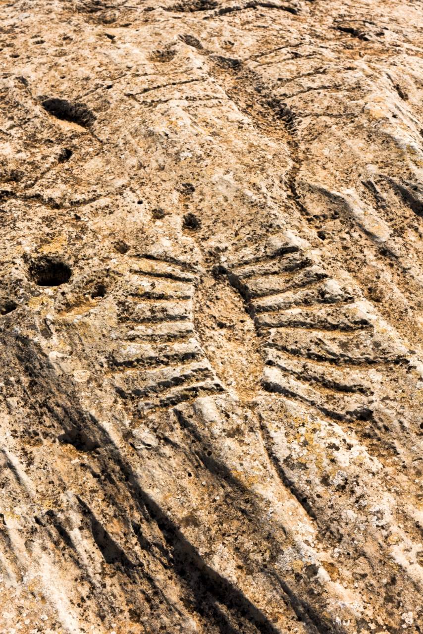 Hundreds of mysterious symbols are carved on this ancient rock – but nobody knows why! 3