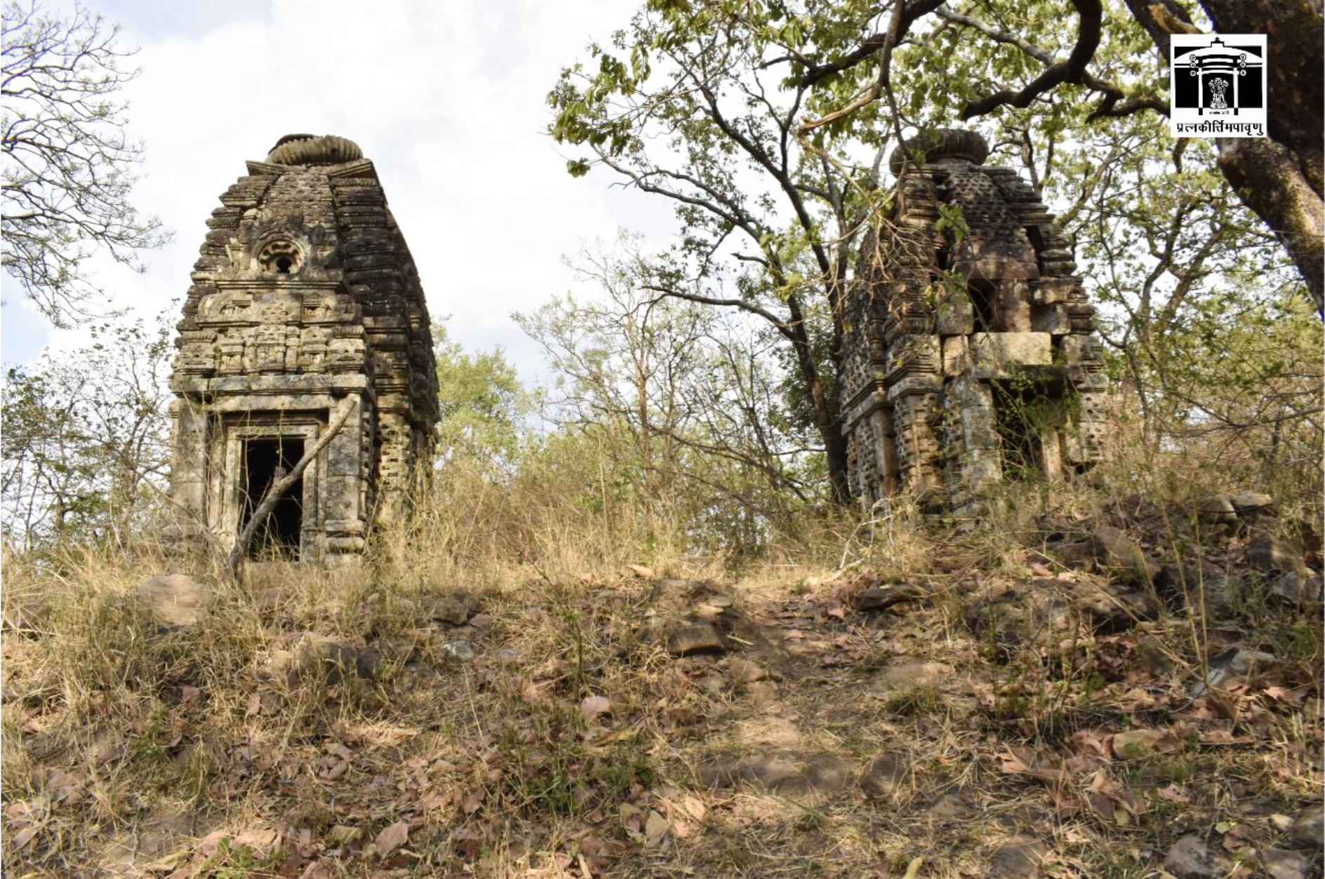 A picture of two temples taken by the Archaeological Survey of India.