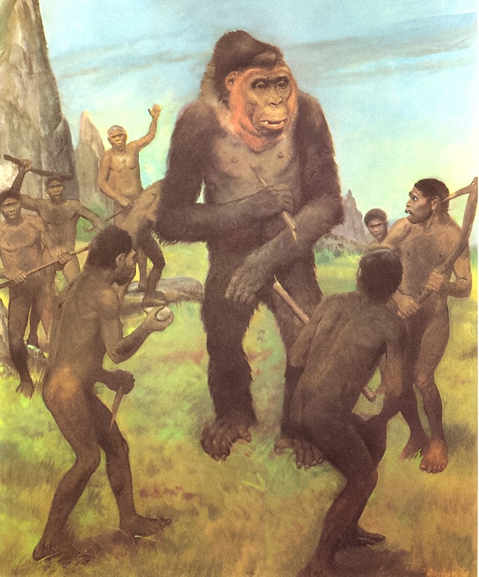 Gigantopithecus: Fianais ro-eachdraidheil connspaideach mun Bigfoot! 4