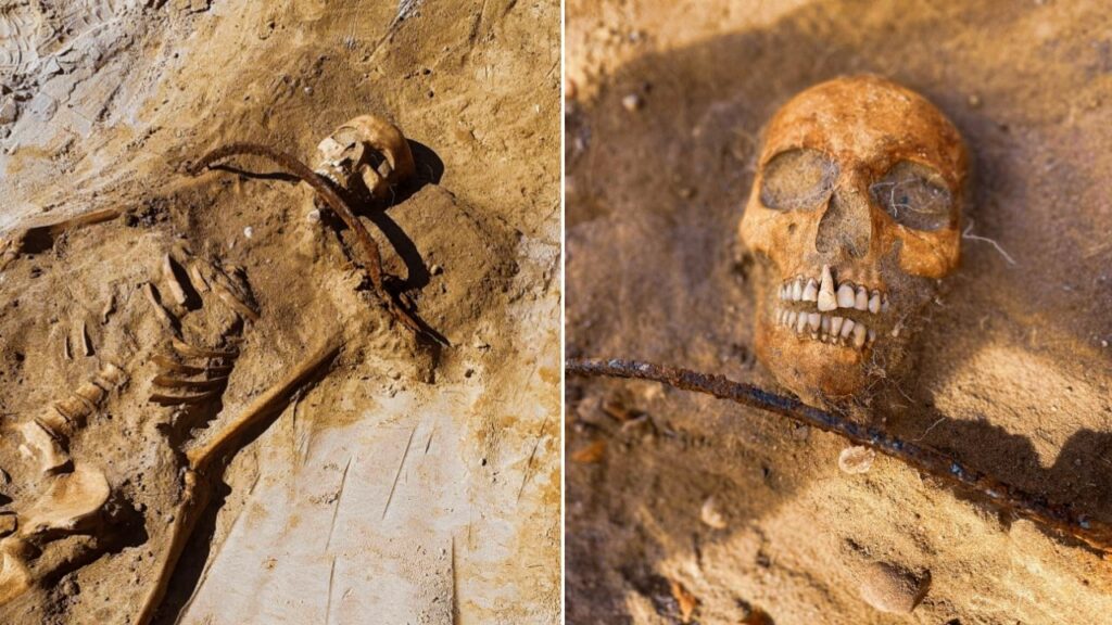 17th-century 'vampire' skeleton was found pinned to the ground with a sickle around the neck 1
