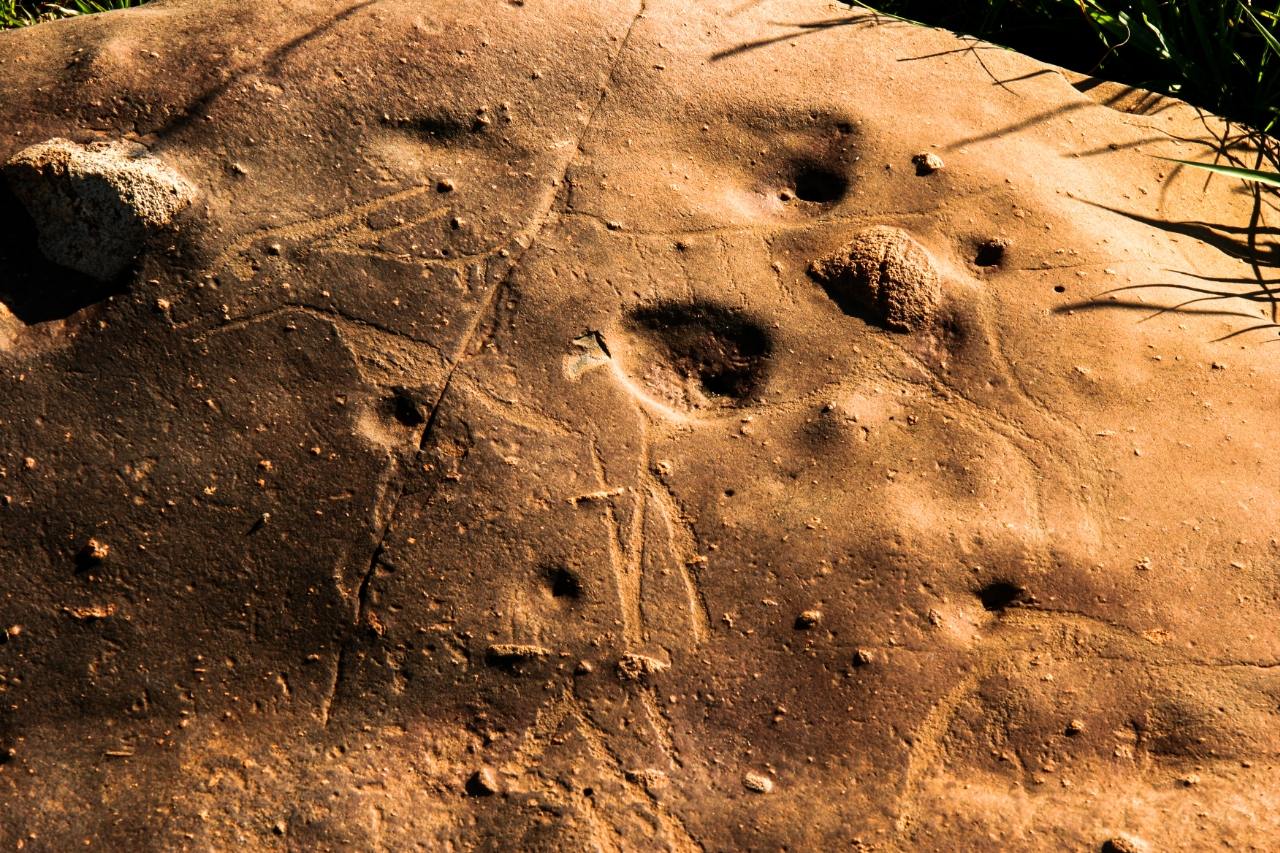 Strange 8,000-year-old rock carvings in the world's largest asteroid crater 2