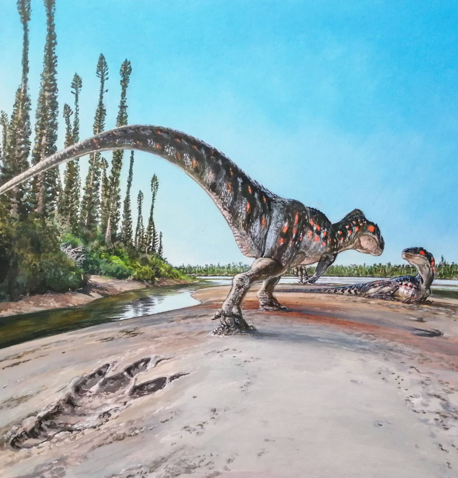 This illustration shows a Megalosaurus, the dinosuar believed to have left behind the footprint.
