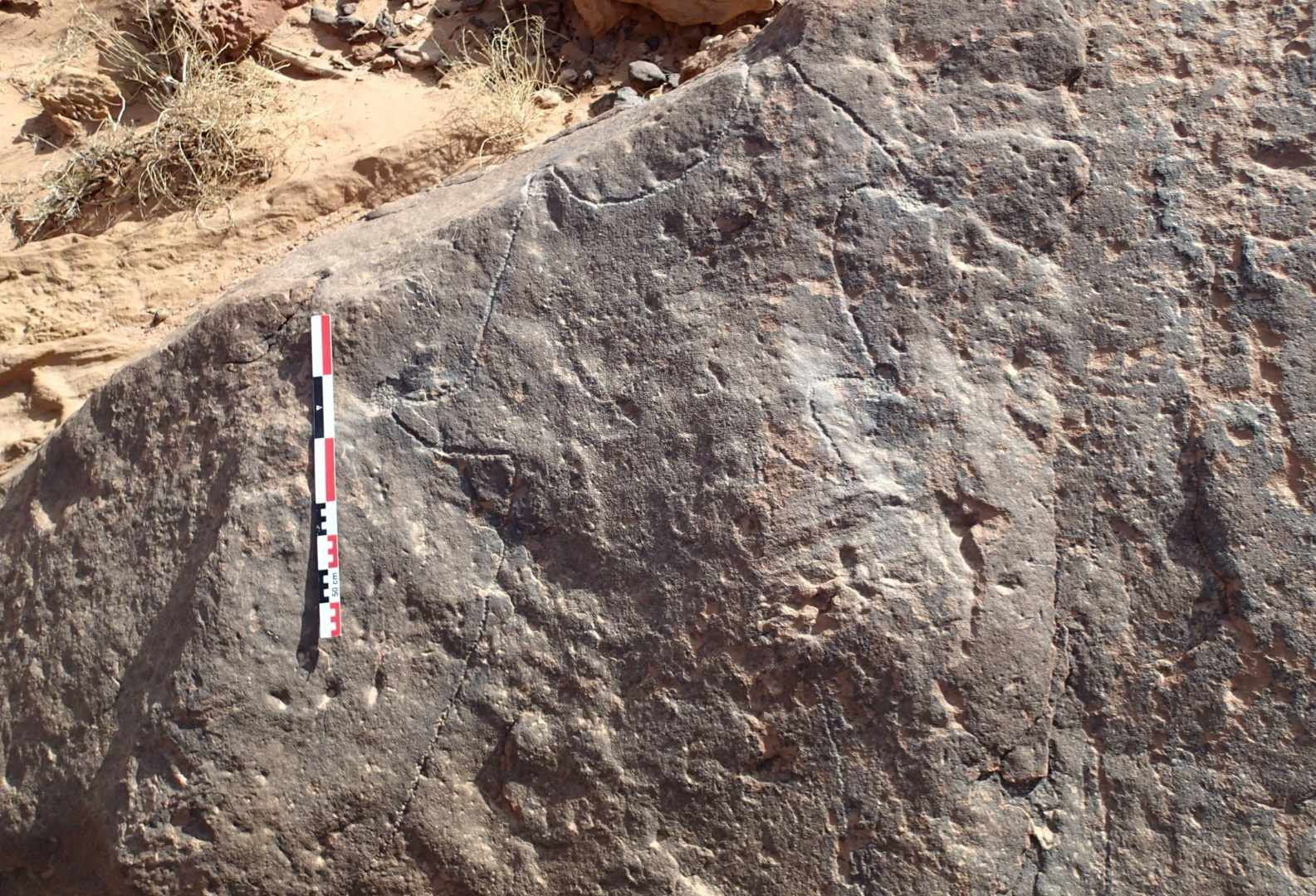 8,000-year-old rock carvings in Arabia may be the world's oldest megastructure blueprints 5