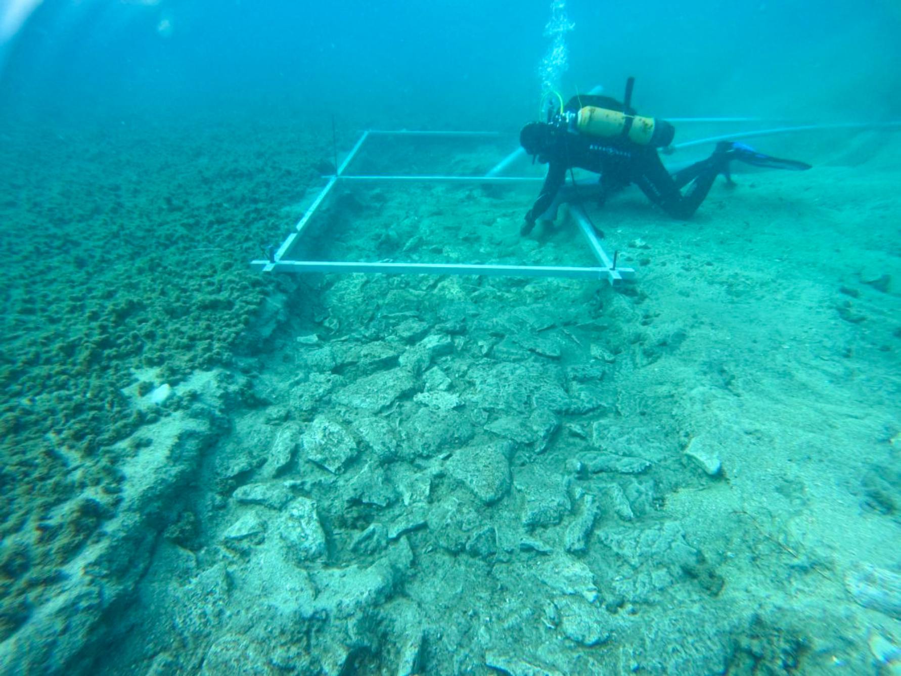 Potápěč zkoumá podvodní cestu, která byla tisíce let pohřbena bahnem.