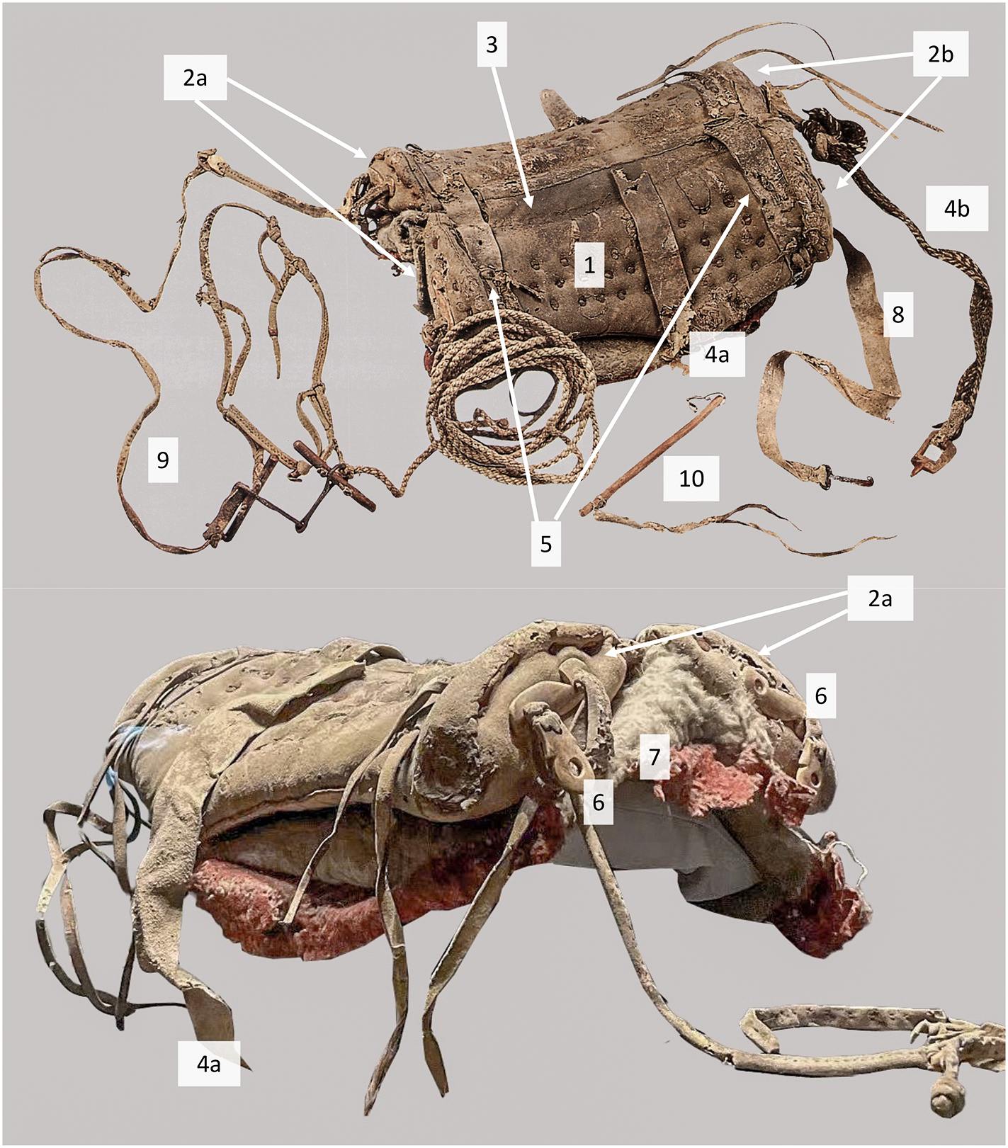 The leather saddle and bridle from Subeixi tomb M10. 1 - Saddle panel; 2a- Rear lens-shaped gussets; 2b - Front lens-shaped gussets; 3 - Gullet (flat area of leather created between the two outer stitch lines when panels were joined); 4a - Girth, leather part; 4b - Girth, plaited horse hair strap; 5 - Connecting straps; 6 - Bone attachments (front); 7 - Felt pad; 8 - Crupper; 9 - Bridle; 10 - Whip.