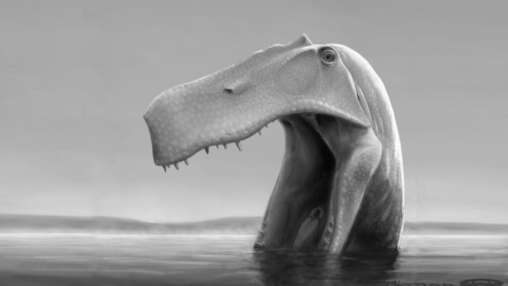 Dinosaurus predator ti Brazil sareng anatomina héran 4