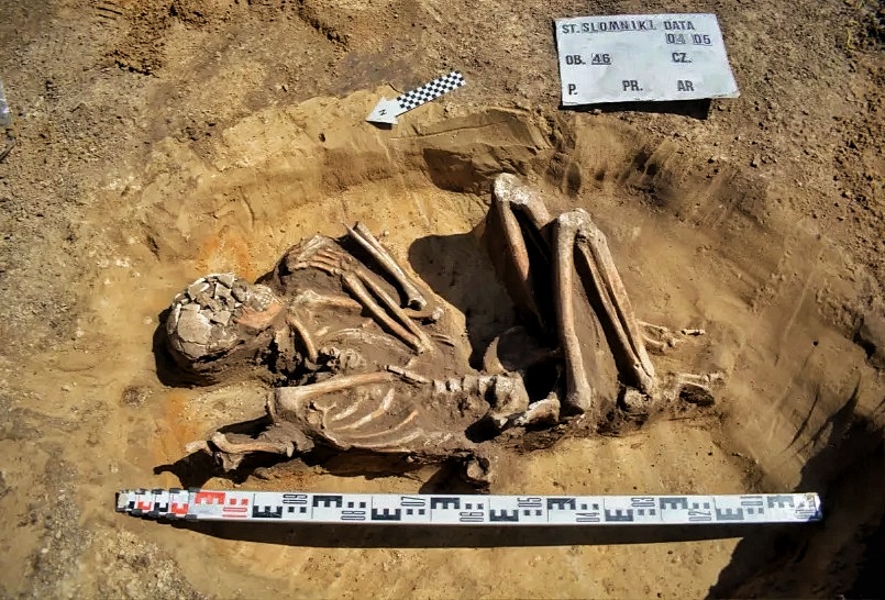 E gutt preservéiert 7,000 Joer ale Skelett, dee während der Renovéierung a Polen entdeckt gouf 1