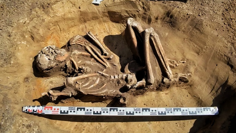 A well-preserved 7,000-year-old skeleton unearthed during renovation in Poland 3