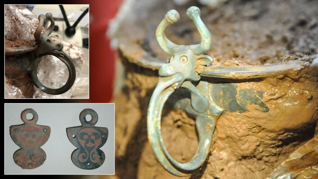 Epoca fierului de 2,000 de ani și comorile romane găsite în Țara Galilor ar putea indica o așezare romană necunoscută 1
