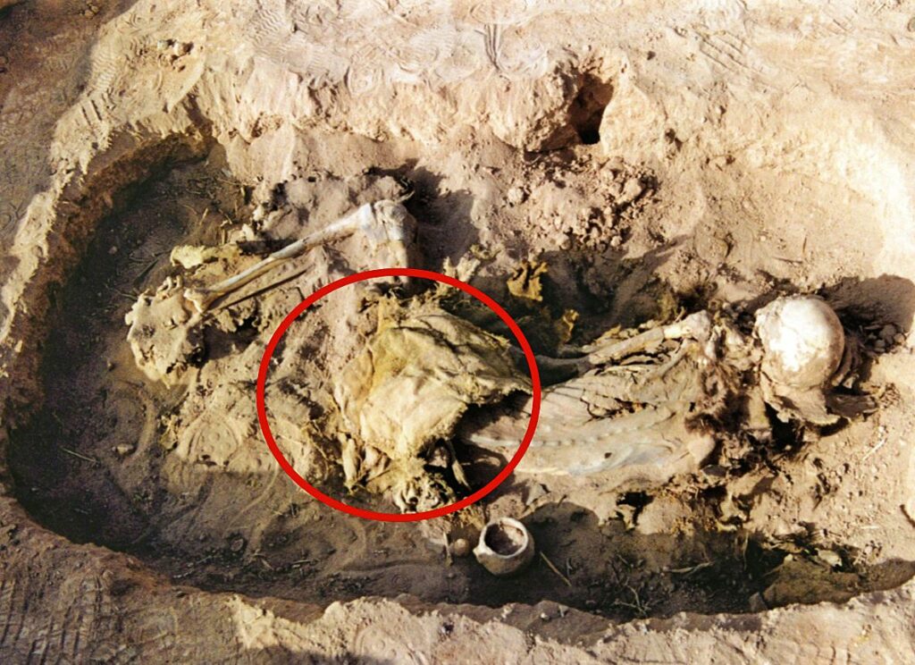 Гробница Иангһаи ИИМ205 са положајем кожног седла означеним црвеним кругом.