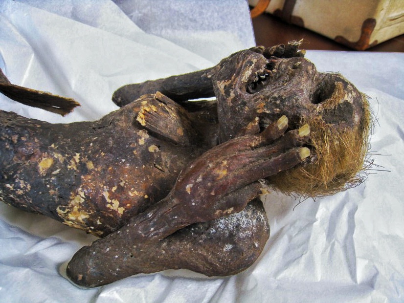 La inquietante momia de 'sirena' descubierta en Japón es aún más extraña de lo que los científicos esperaban 1