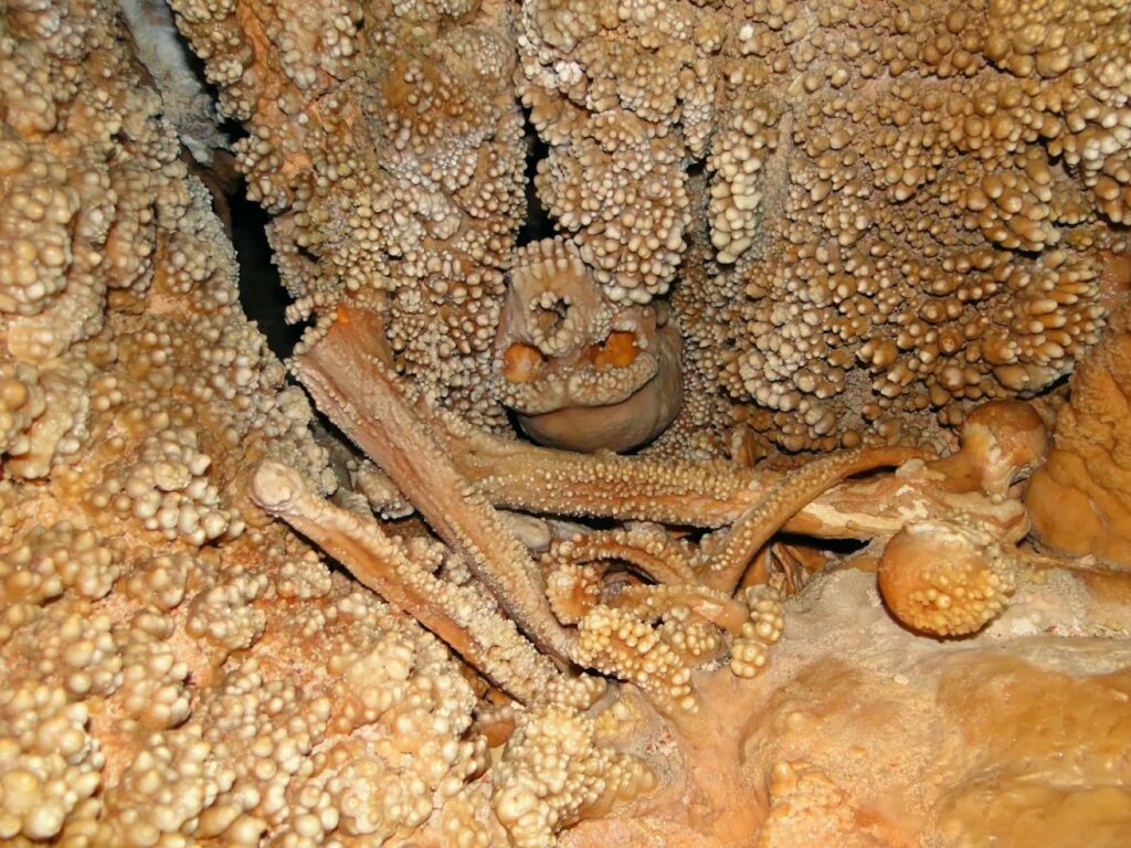 "Altamura Man" who fell down sinkhole 150,000 years ago starved to death and "fused" with its walls 5
