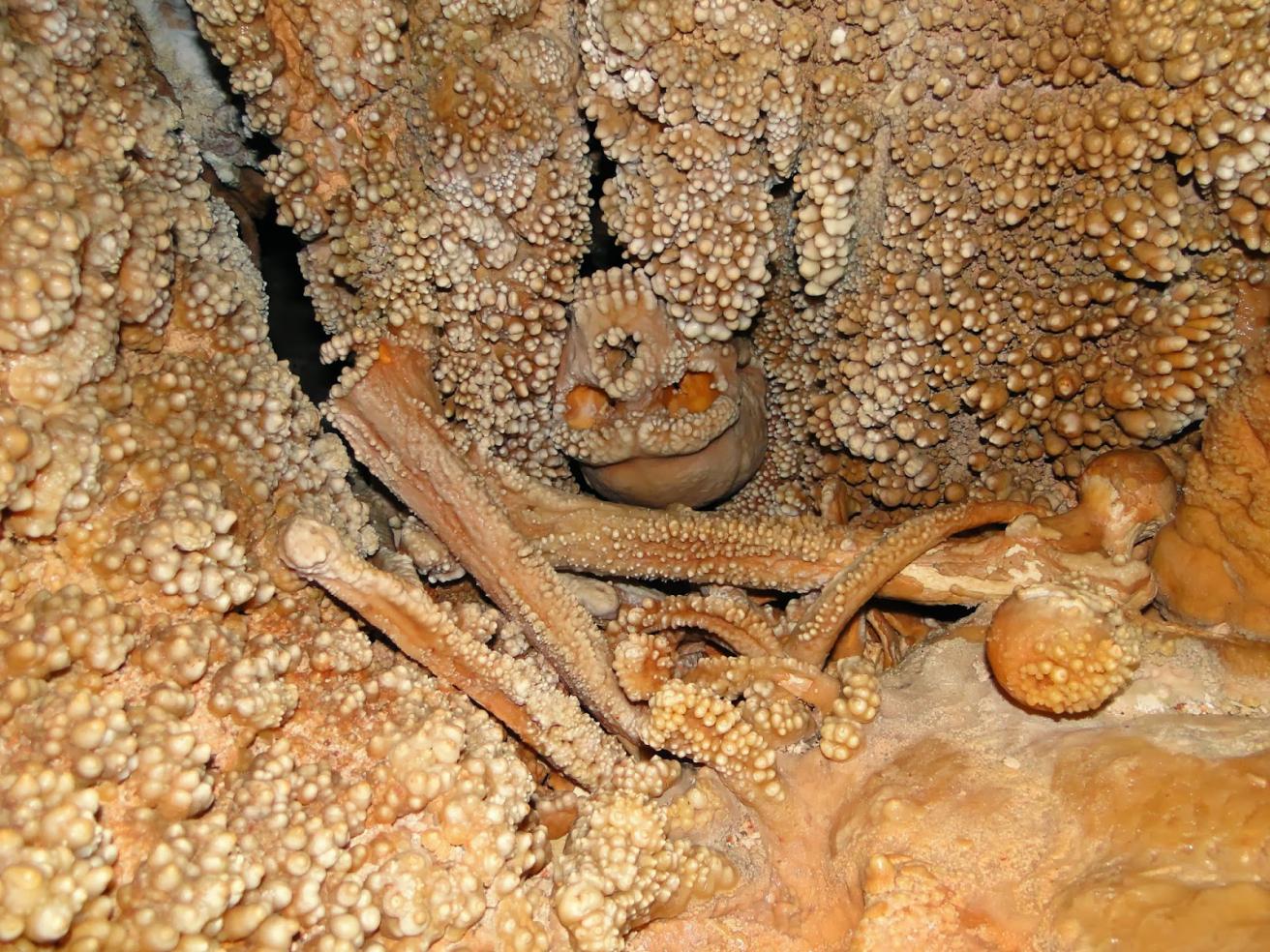 "Altamura Man" who fell down sinkhole 150,000 years ago starved to death and "fused" with its walls 1