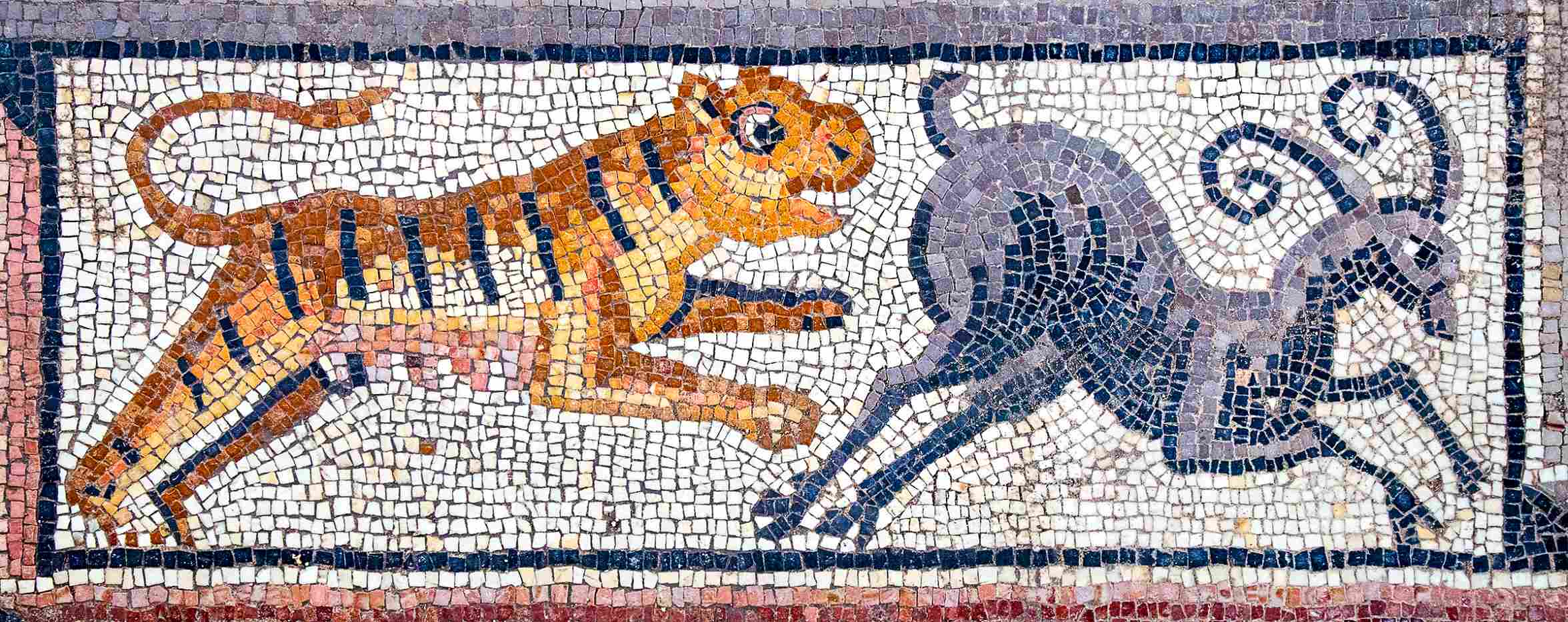 Border scene of a tiger chasing ibex - from the inscription mosaic in the Huqoq synagogue, June 2023.