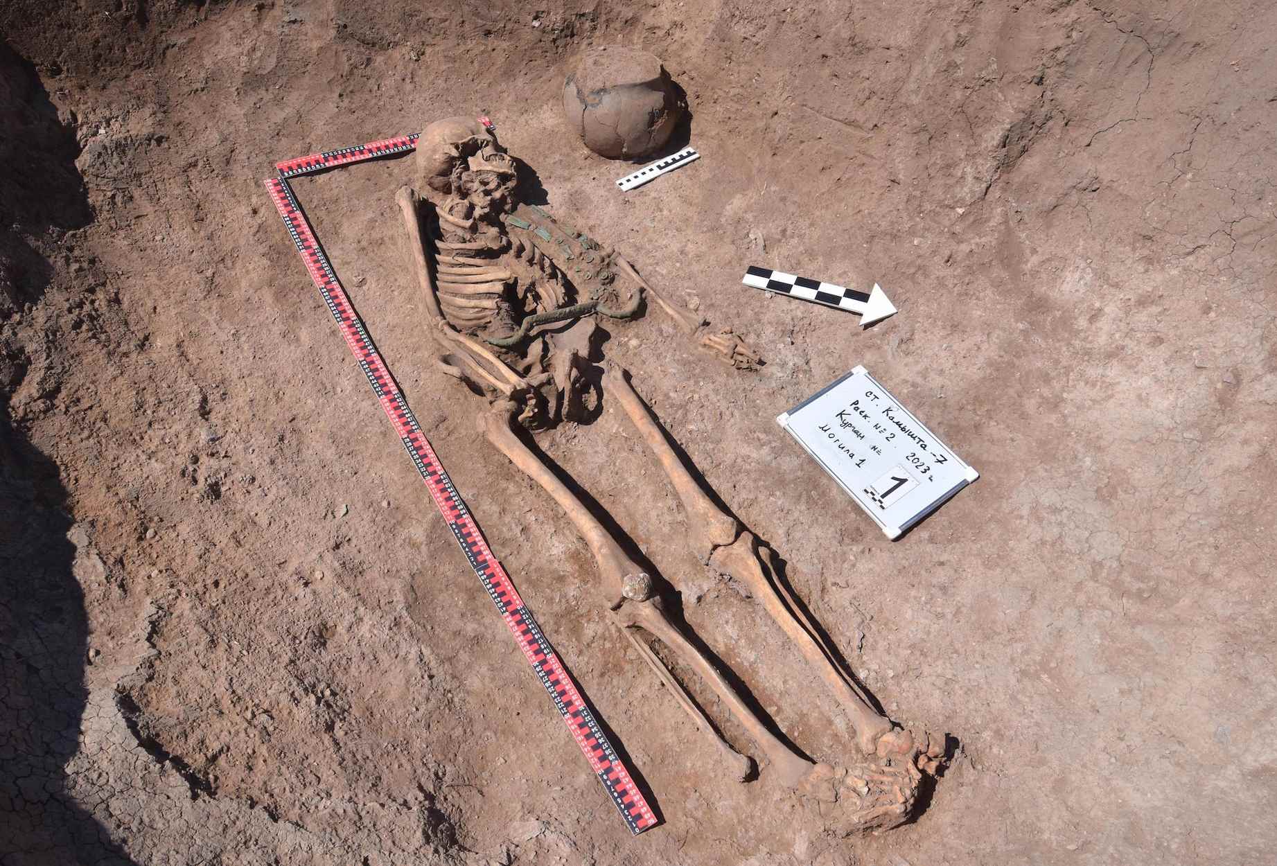 The tomb contained a Siberian charioteer along with grave goods, including a bronze belt piece, dagger and jewelry.
