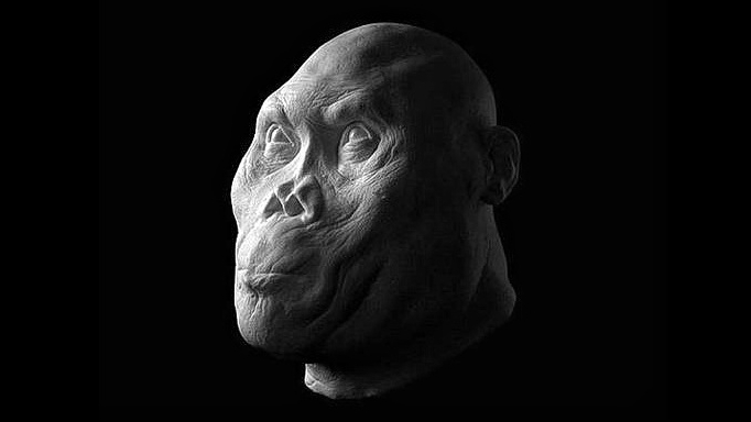The faces of ancient hominids brought to life in remarkable detail 5