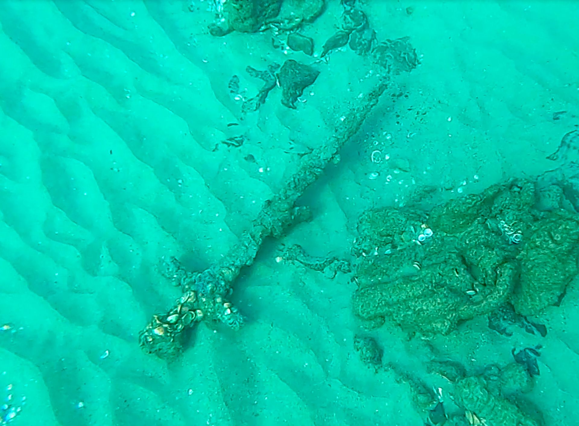 Medieval sword found on seabed was likely lost during naval battle 1