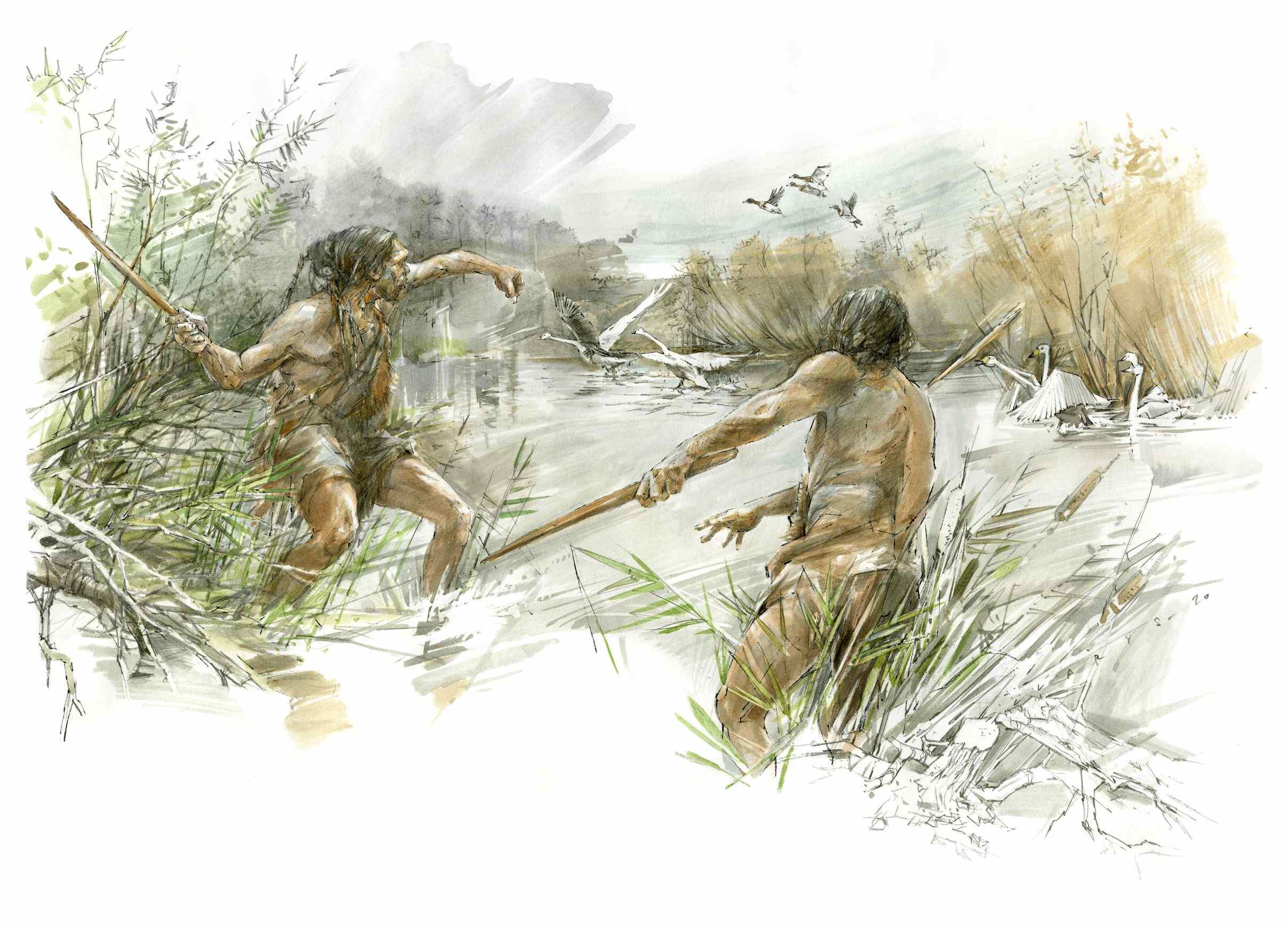 300,000-year-old Schöningen spears reveal Prehistoric advanced woodworking 1