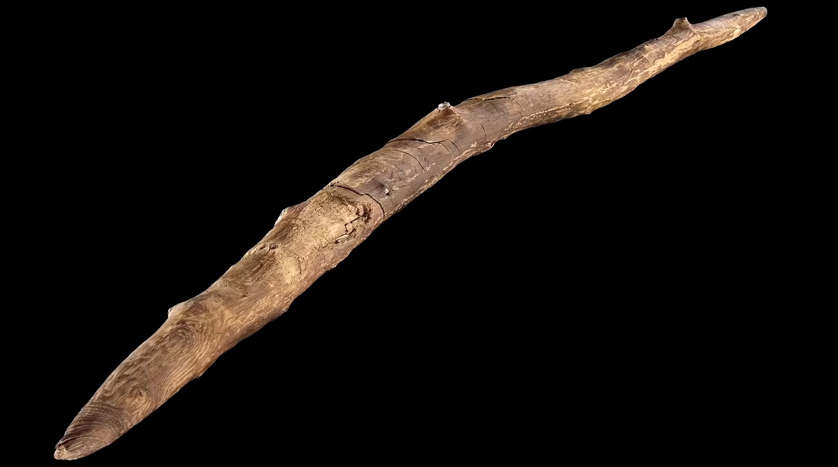 300,000-year-old Schöningen spears reveal Prehistoric advanced woodworking 2