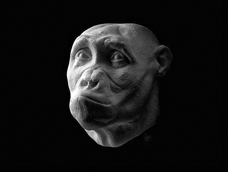 The faces of ancient hominids brought to life in remarkable detail 2