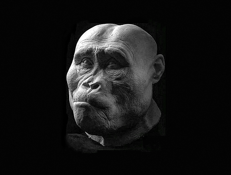 The faces of ancient hominids brought to life in remarkable detail 3