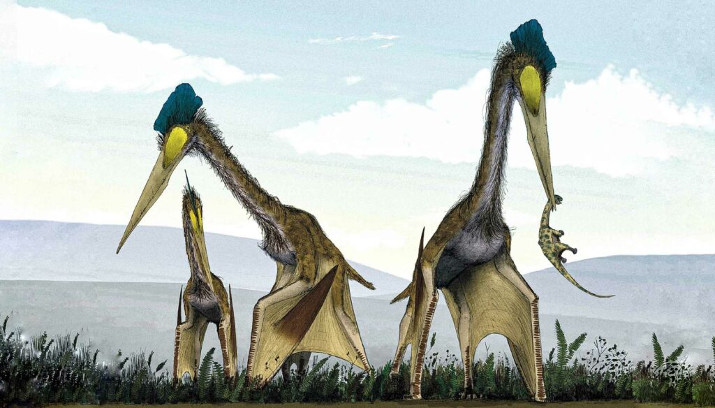 Quetzalcoatlus: la criatura voladora más grande de la Tierra con una envergadura de 40 pies 2