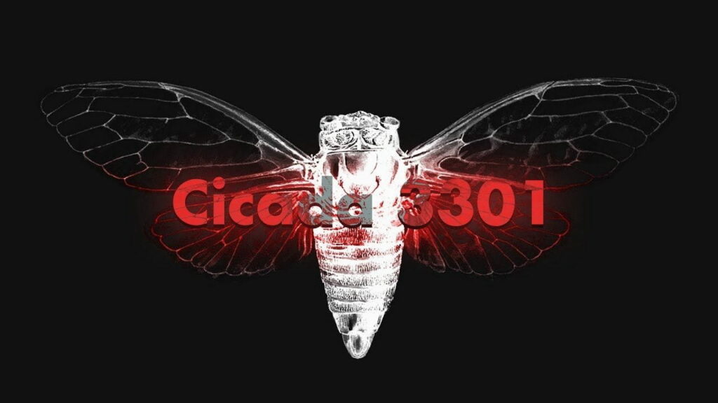 Cicada 3301: Tumeda veebi mõistatuslik 2