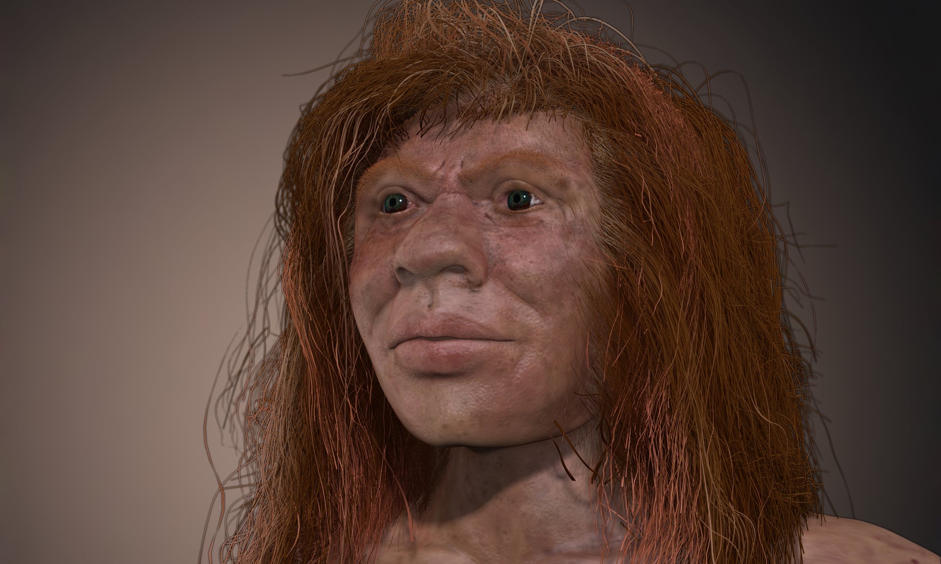 Denny, a mysterious child from 90,000 years ago, whose parents were two different human species 2
