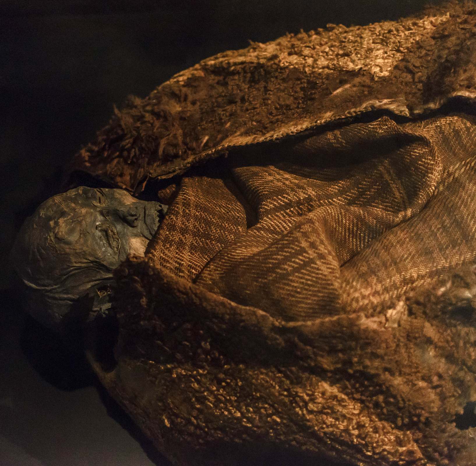Huldremose woman on display at the National Museum of Denmark