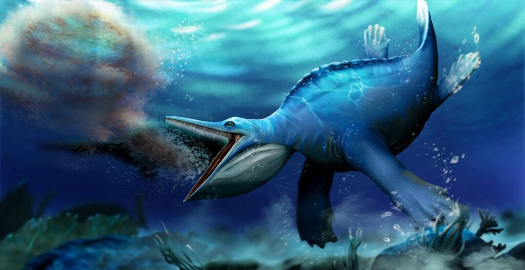 Извонреден кинески фосил стар 250 милиони години откри влекачи со помош на филтер слични на китови кои ги хранат 6