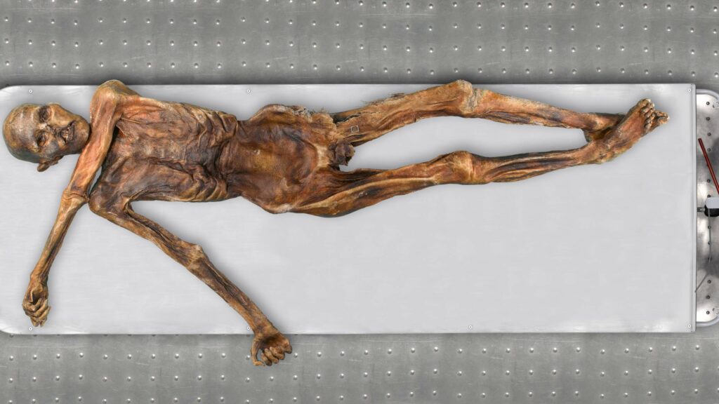 Ötzi: o genoma de Iceman agora revela pele escura, calvície e ascendência da Anatólia 6