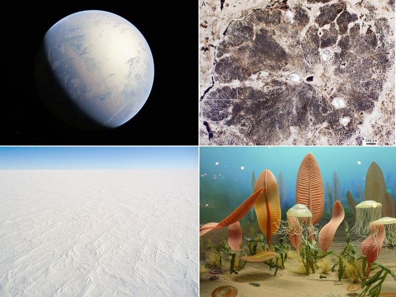 Da esquerda para a direita: Quatro eventos principais do Proterozóico: Grande Evento de Oxidação e subsequente glaciação Huroniana; Primeiros eucariotos, como algas vermelhas; Terra Bola de Neve no período Criogeniano; Biota ediacarana