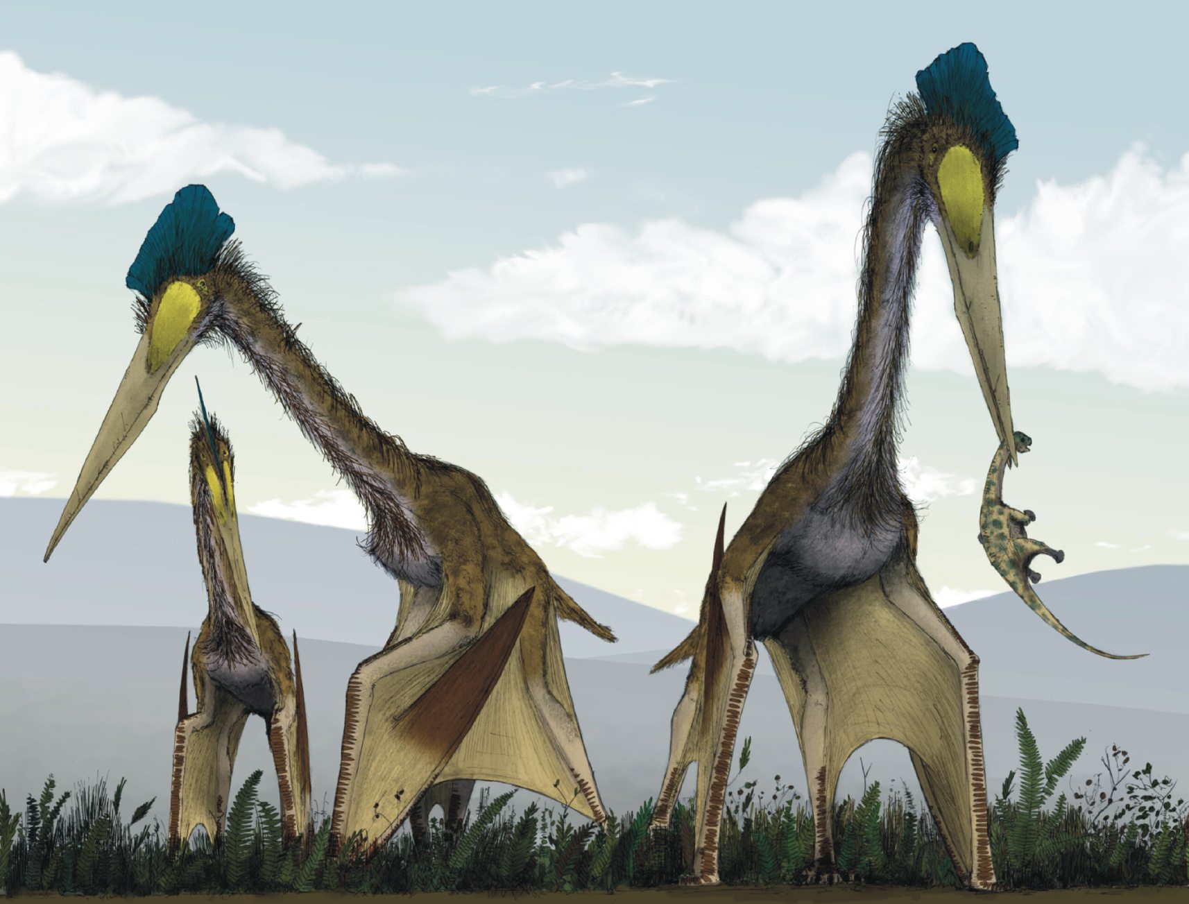Quetzalcoatlus, thought to be the largest flying animal in Earth history had a wingspan of 35 feet. It could fly up to 80 miles an hour for 7 to 10 days at altitudes of 15,000 feet with a maximum range between 8,000 and 12,000 miles.