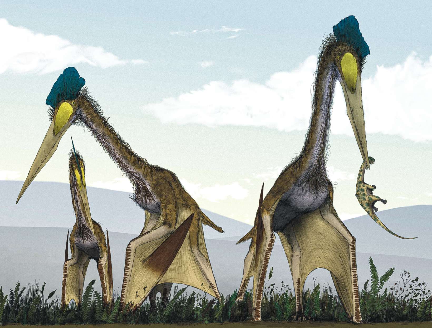 Quetzalcoatlus: Earth's largest flying creature with a 40-foot wingspan 2