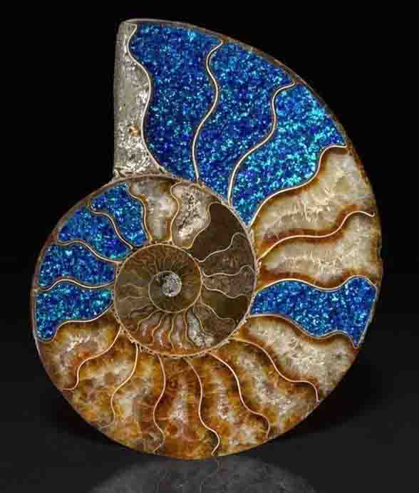 Opalized crab claw: How do opalized fossils form? 3