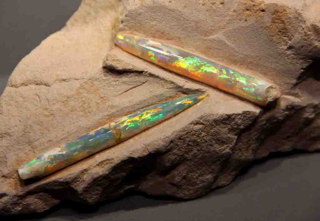 Opalized crab claw: How do opalized fossils form? 4