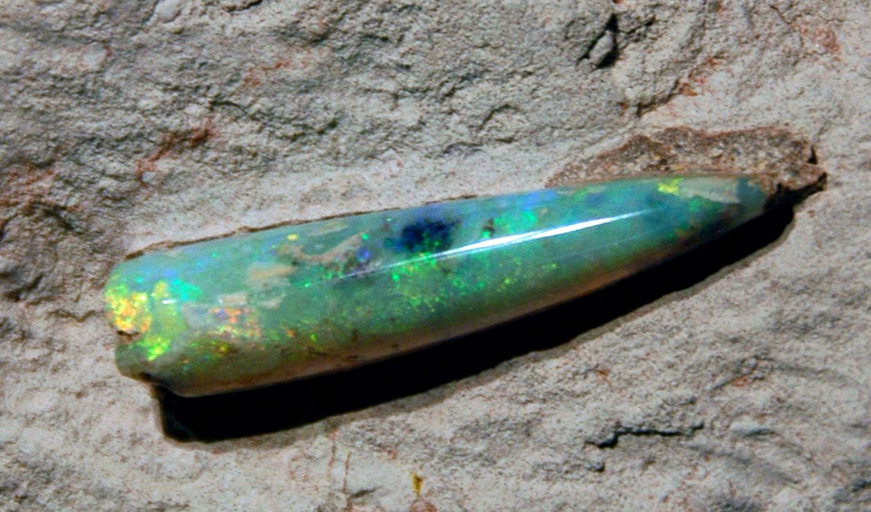 Opalized crab claw: How do opalized fossils form? 2