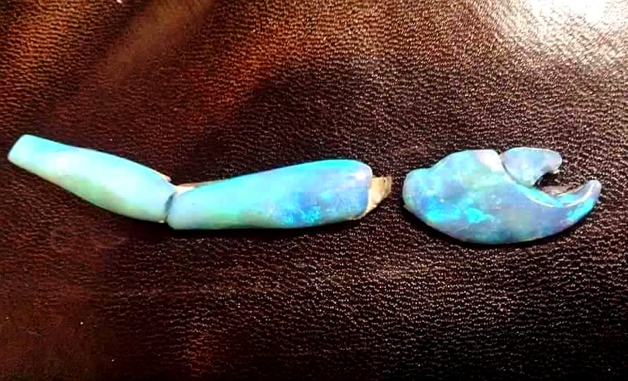 Opalized crab claw: How do opalized fossils form? 1
